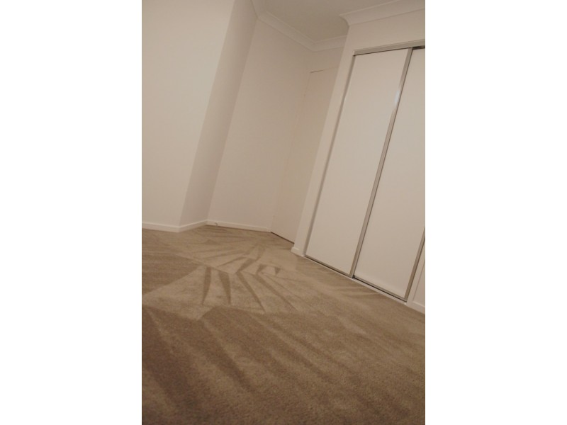 19 O’Reilly, Wakerley QLD 4154