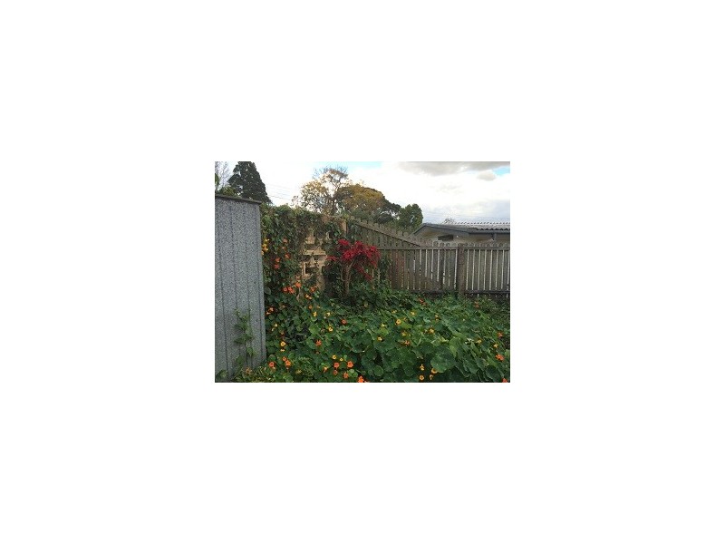 123 Akuna St, Kenmore QLD 4069