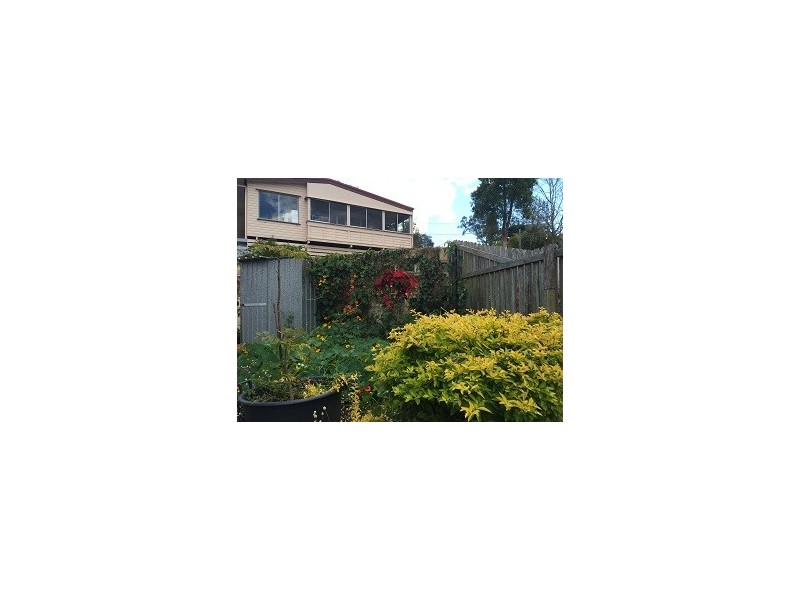123 Akuna St, Kenmore QLD 4069