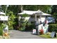 6 Triton Street, Palm Cove QLD 4879