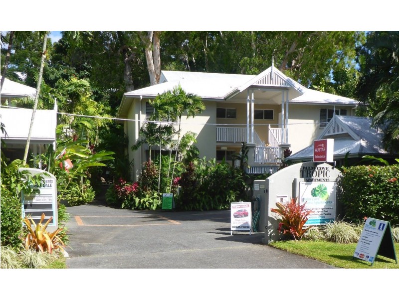 6 Triton Street, Palm Cove QLD 4879