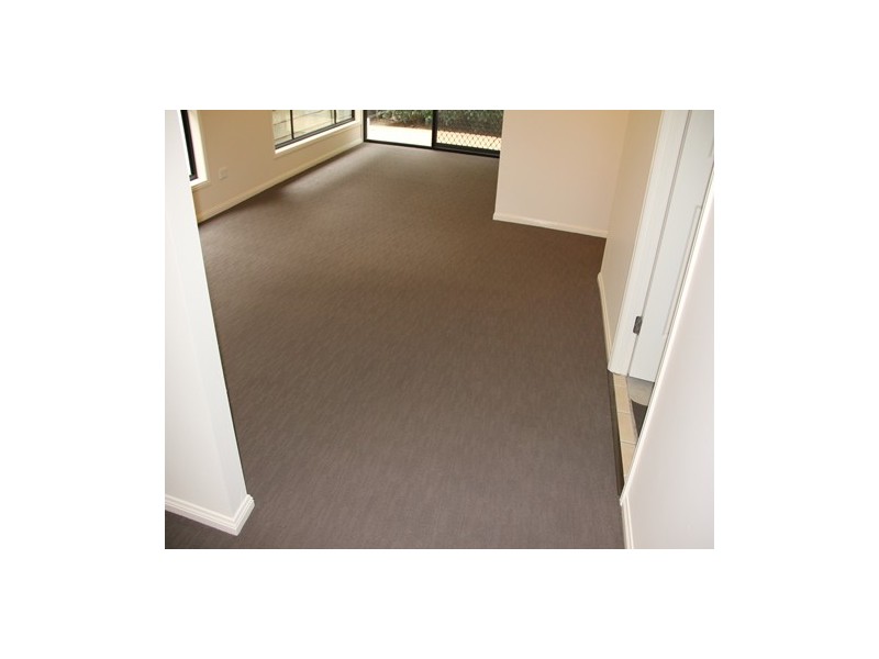 16 Violet Close, Eight Mile Plains QLD 4113