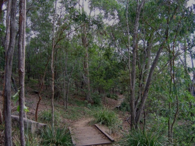 250 Sumners Road, Riverhills QLD 4074
