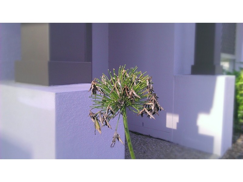 7/75 LEVINGTON ROAD, Eight Mile Plains QLD 4113