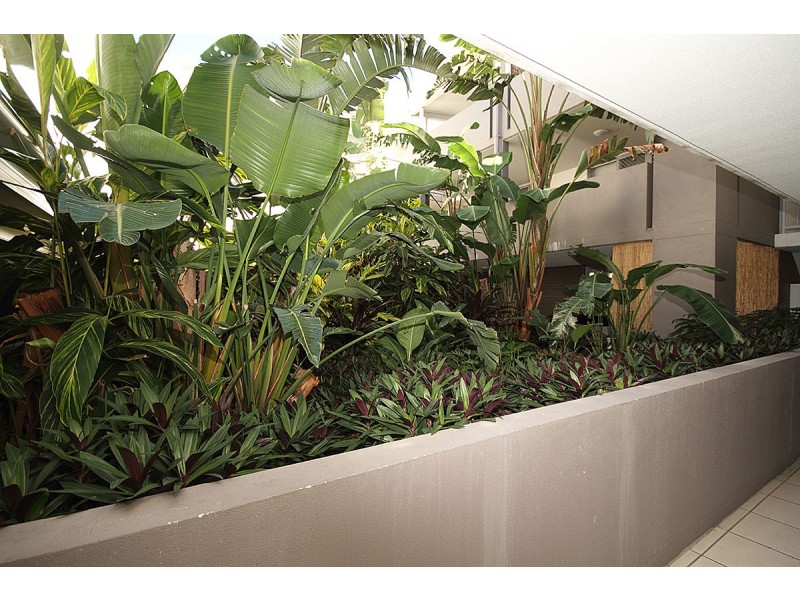 22, 223 Tufnell Road, Banyo QLD 4014