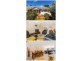 8a Gemview St, Calamvale QLD 4116