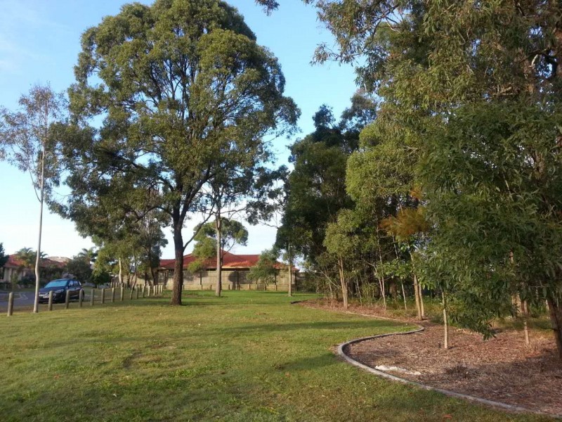 19 O’Reilly St, Wakerley QLD 4154