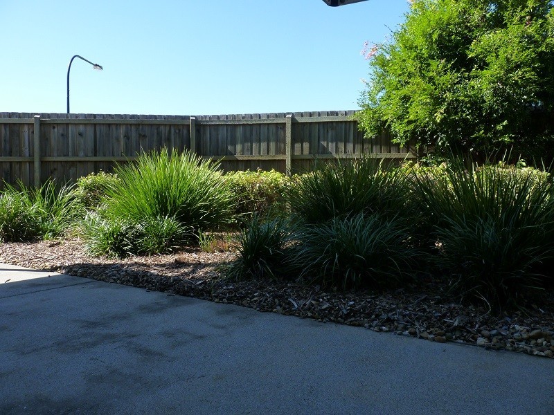 North Lakes QLD 4509
