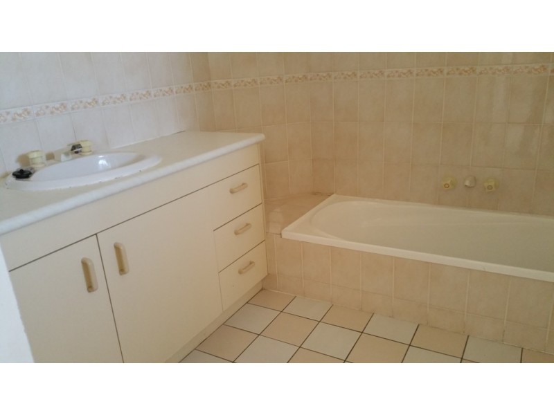 17/1162 Cavendish Road, Mount Gravatt East QLD 4122