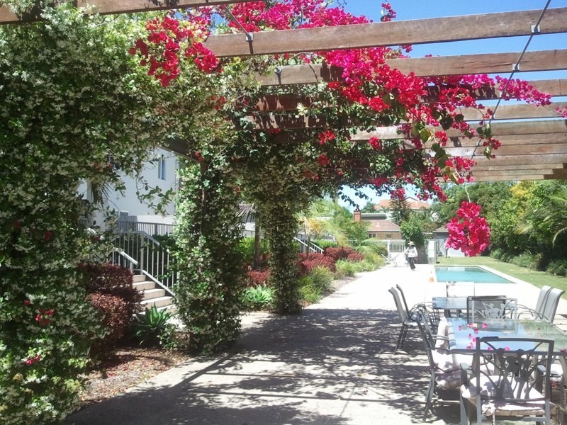 33/46 Buxton Street, Ascot QLD 4007