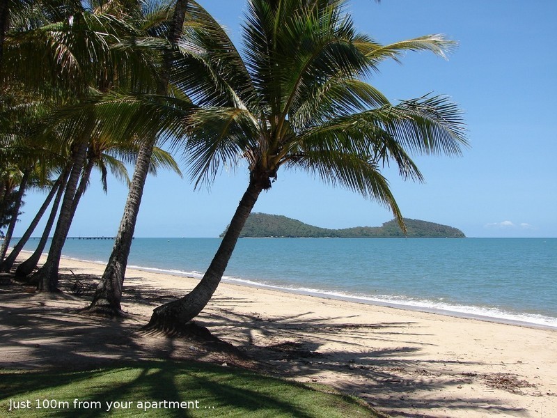 6 Triton Street, Palm Cove QLD 4879