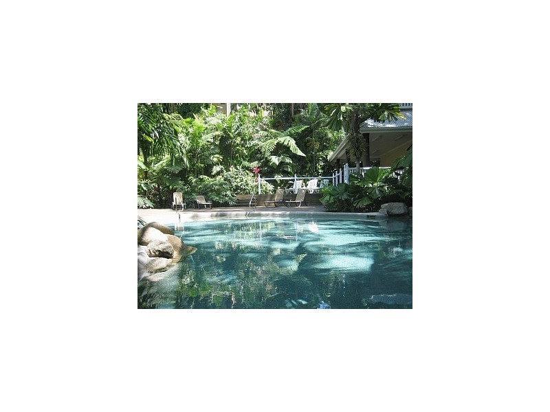 6 Triton Street, Palm Cove QLD 4879