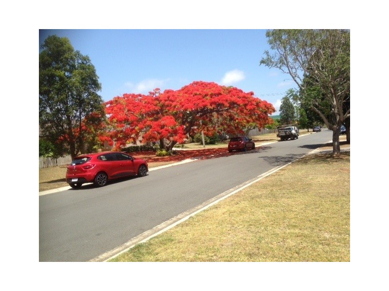 30 Russell Street, Cleveland QLD 4163