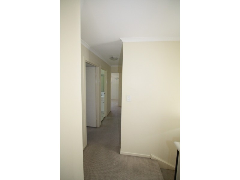 77 Depper Street, St Lucia QLD 4067