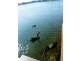 Runaway Bay QLD 4216
