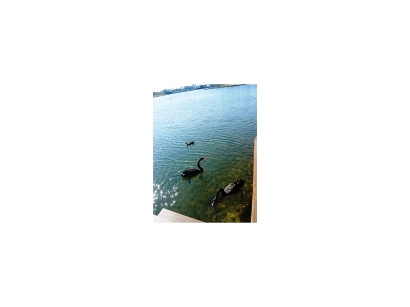 Runaway Bay QLD 4216