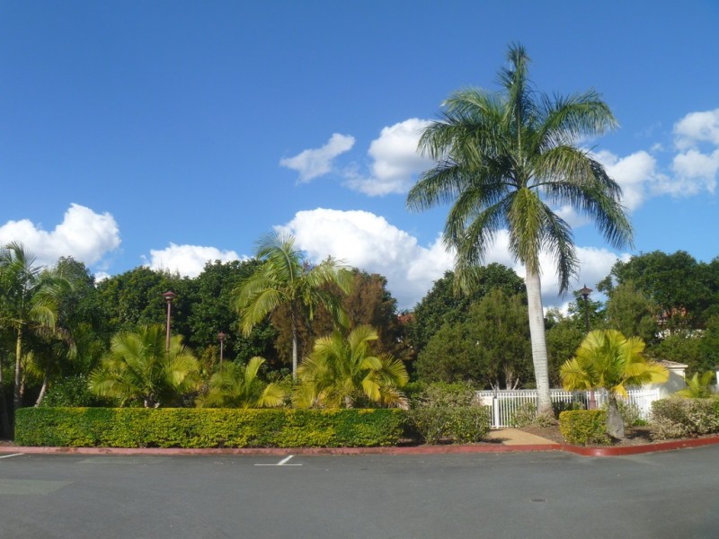 20/40 Arcadia St, Eight Mile Plains QLD 4113