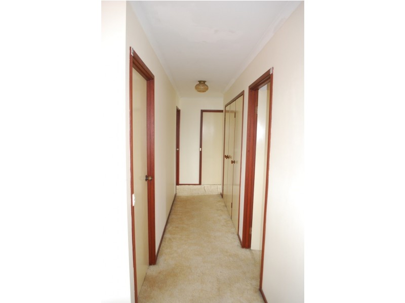 17A Nodosa, Robertson QLD 4109