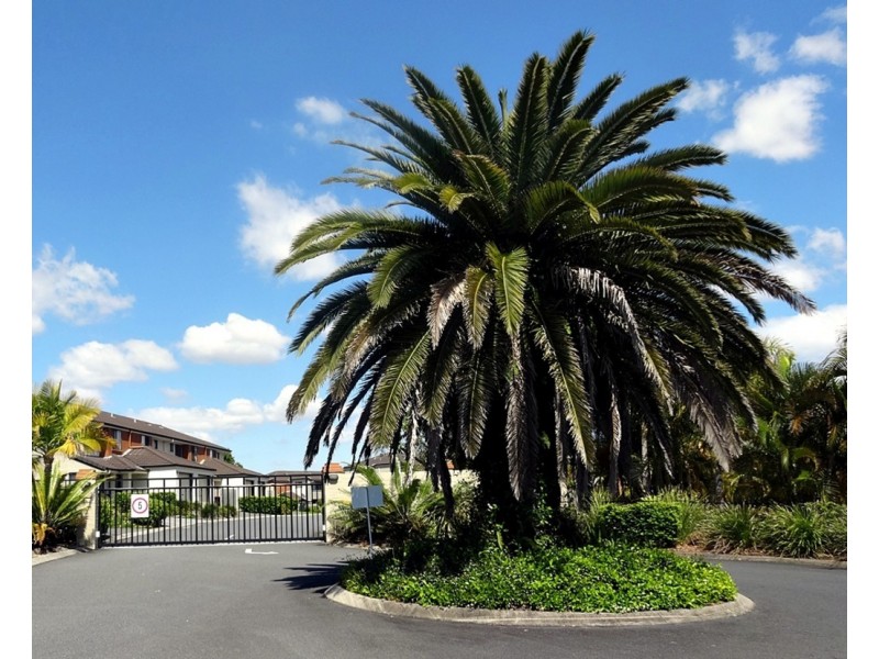 11 Federation Street, Wynnum West QLD 4178