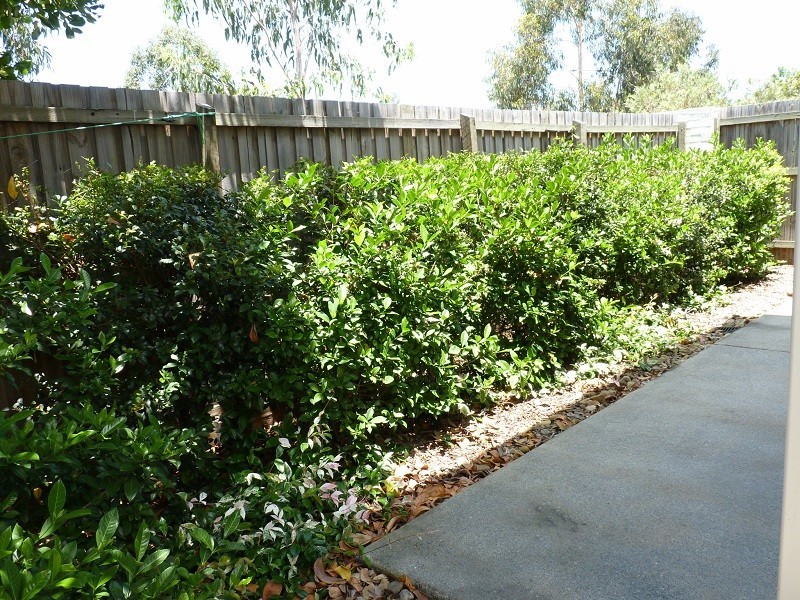 North Lakes QLD 4509