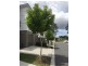 U18 Cowie Rd, Carseldine QLD 4034