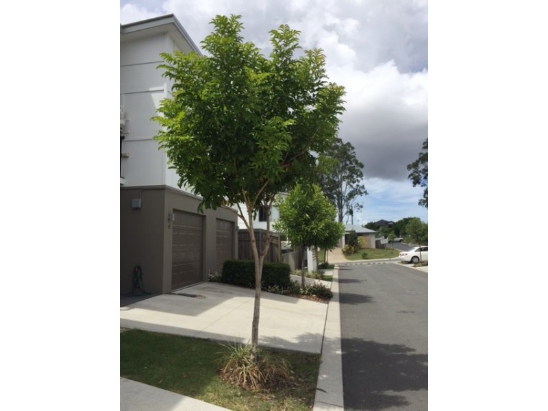 U18 Cowie Rd, Carseldine QLD 4034