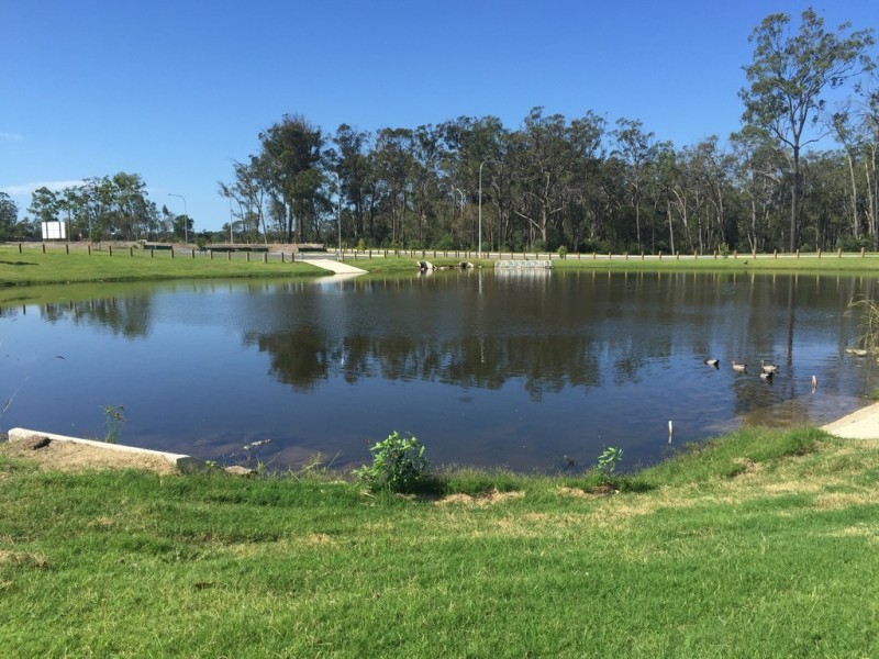 14 Cottrell Drive, Pimpama QLD 4209