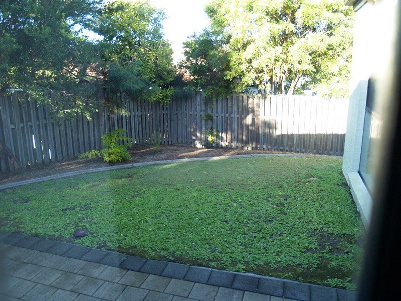 AHC / 590 Pine ridge, Coombabah QLD 4216