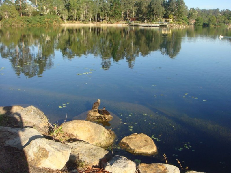 153M Woogaroo Street, Forest Lake QLD 4078