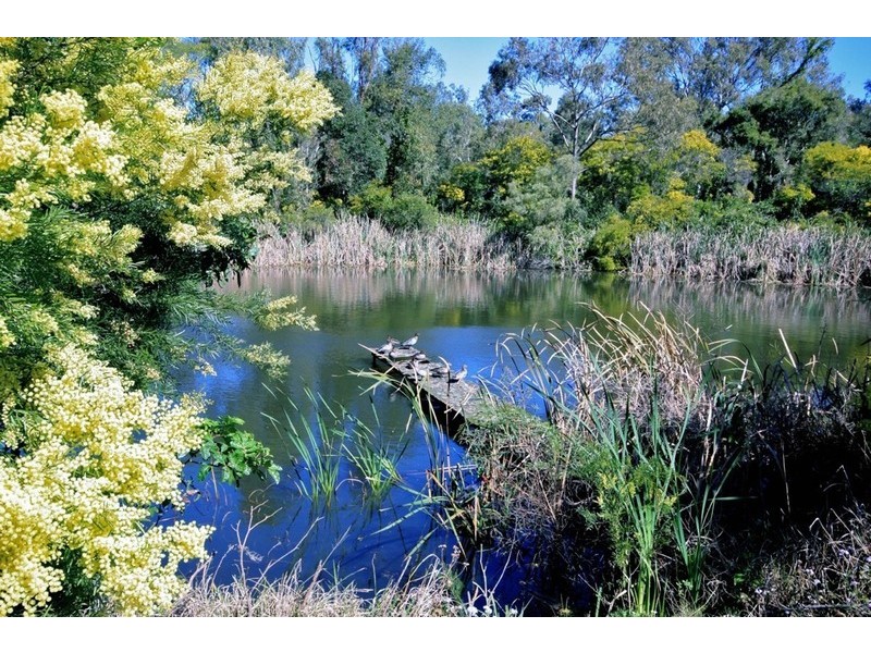 78/40 Hargreaves Road, Manly West QLD 4179