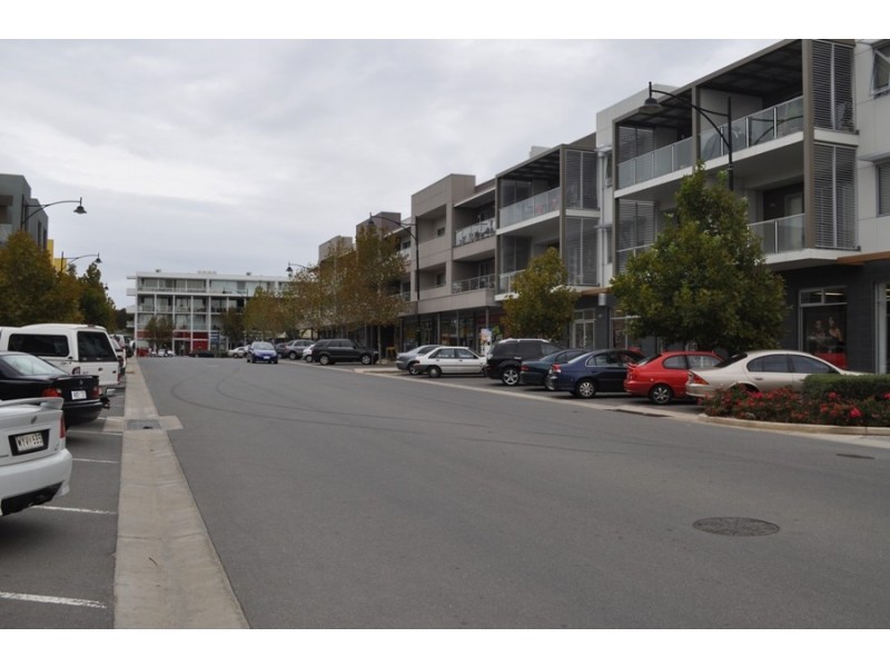 1,2 Fisher Place, Mawson Lakes SA 5095