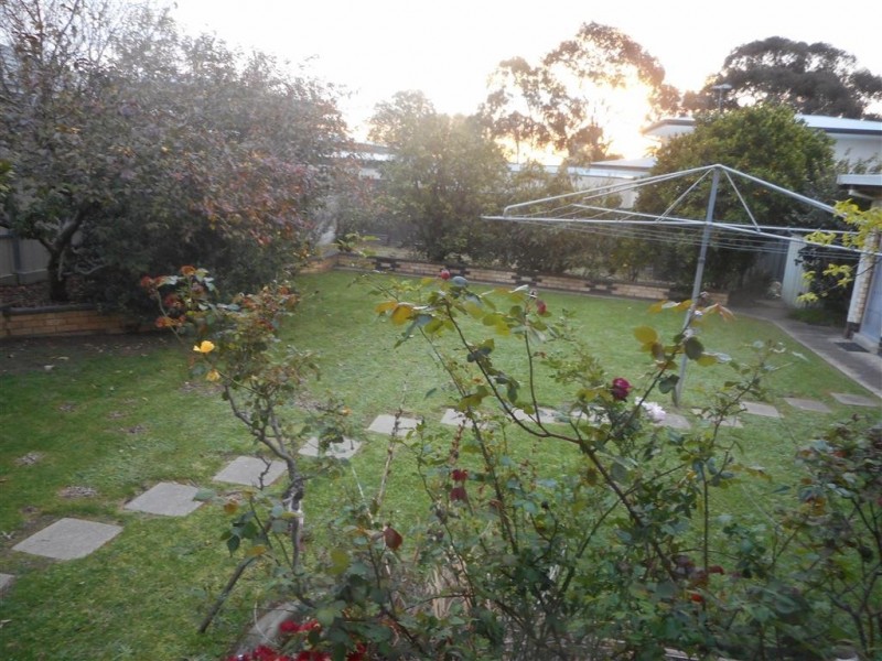 41 Catherine Street, Clapham SA 5062