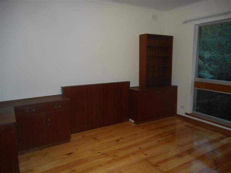 41 Catherine Street, Clapham SA 5062