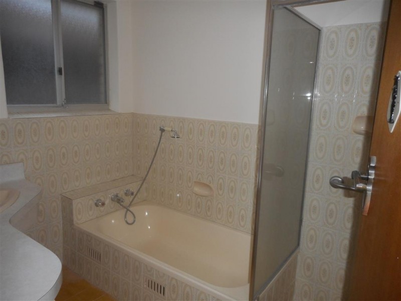 41 Catherine Street, Clapham SA 5062