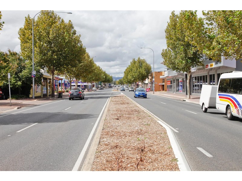 117 Sir Donald Bradman Drive, Hilton SA 5033