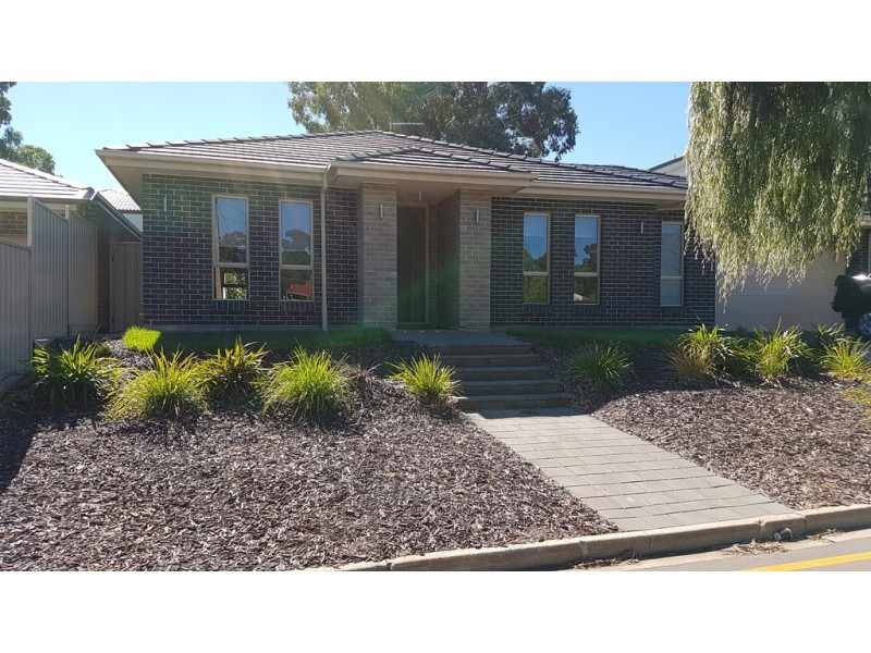 43A Ryan Avenue, Athelstone SA 5076
