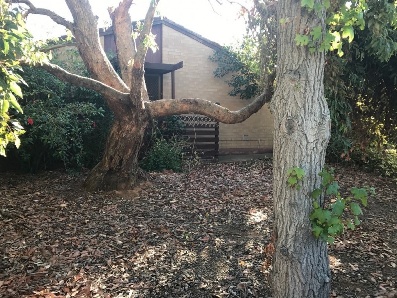 3 WALDITCH ST, Elizabeth Downs SA 5113