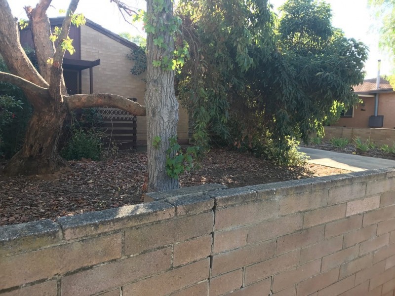 3 WALDITCH ST, Elizabeth Downs SA 5113