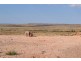 Lot 1665 Crows Road, Coober Pedy SA 5723