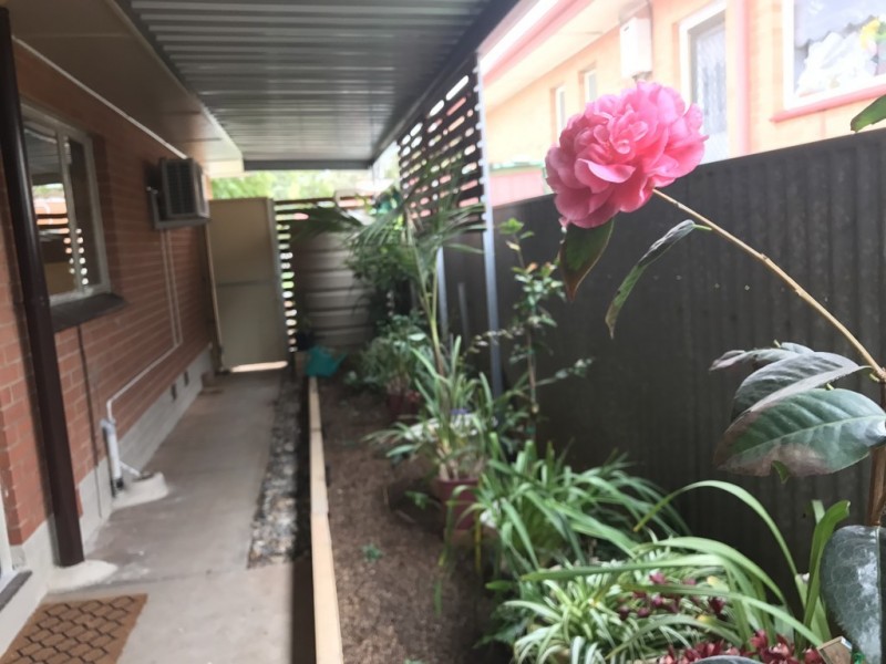 45 FILMER AVE, Para Hills SA 5096