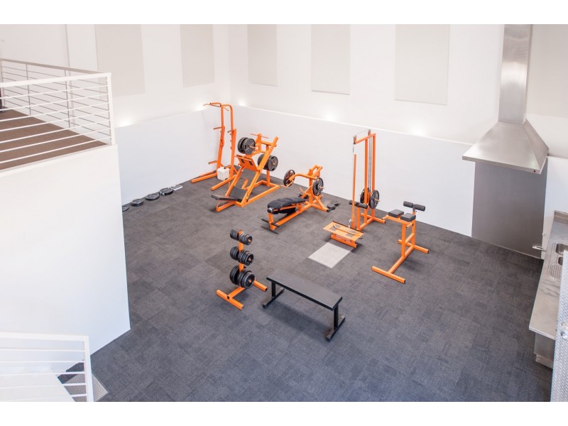 43 Maria Street, Thebarton SA 5031