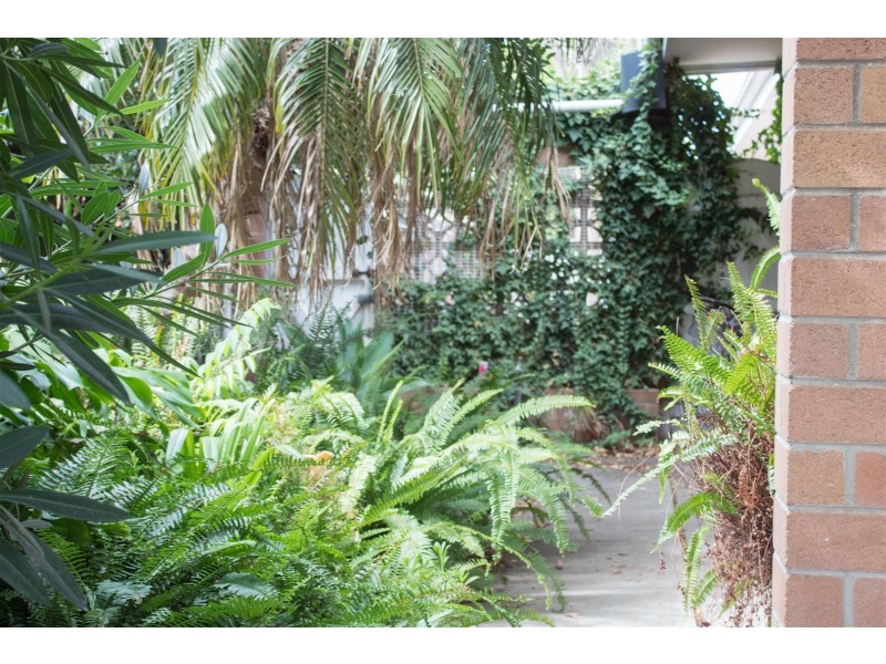 5/25 Roslind Street, Kensington Gardens SA 5068