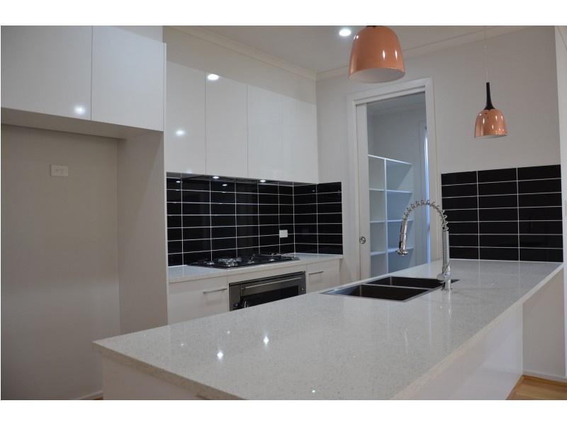 37 Hallett Avenue, Tranmere SA 5073