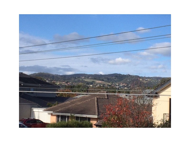 37 Hallett Avenue, Tranmere SA 5073