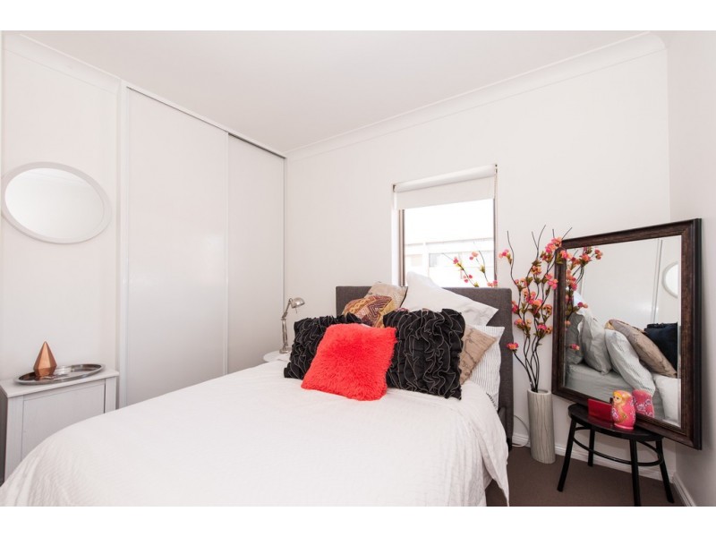 16 Chapel Street, North Adelaide SA 5006