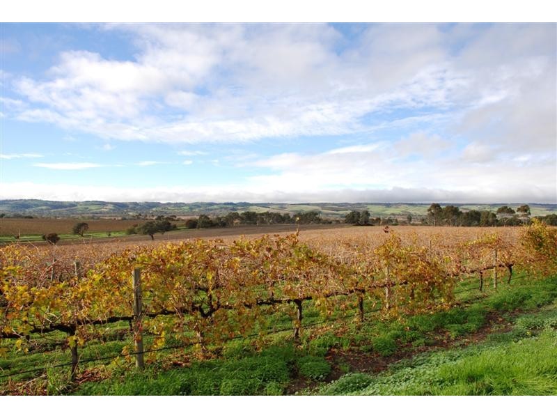 Mclaren Vale SA 5171