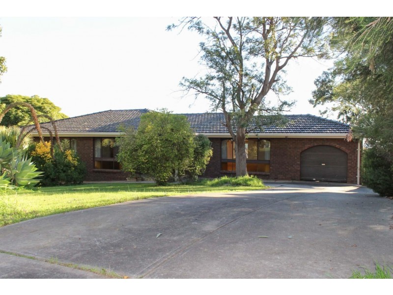 16 College Avenue, Bellevue Heights SA 5050