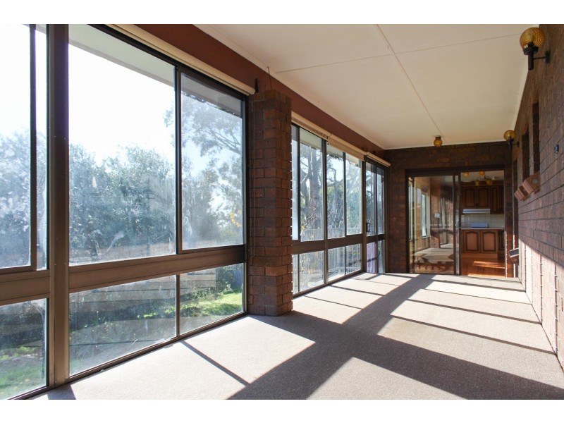 16 College Avenue, Bellevue Heights SA 5050