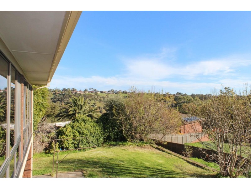 16 College Avenue, Bellevue Heights SA 5050