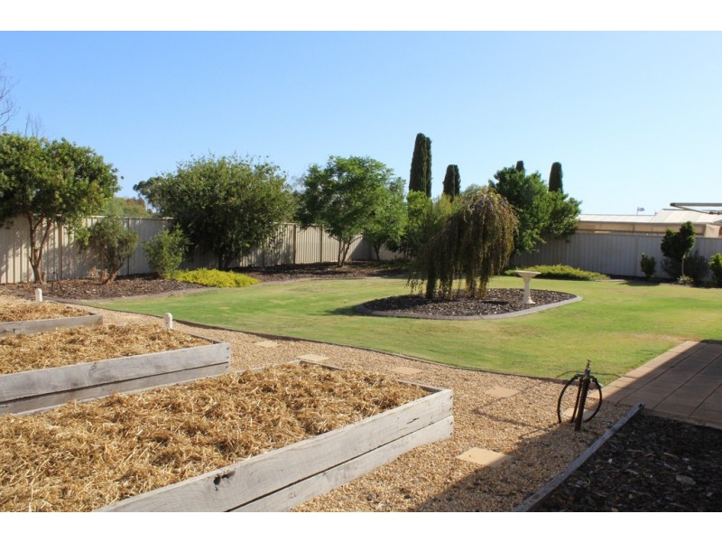 3 Walter Ave, Two Wells SA 5501